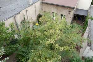 Grundsanierte 2 Zimmer in Ffm Fechenheim, Garten Pflege/Nutzung – 60386 Fechenheim, Frankfurt am Main – Vorschaubild 13