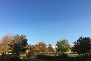 provisionsfrei: Gut vermietet am Park – Bürgermeister-Alexander-Straße 8, 55122 Gonsenheim, Mainz – Vorschaubild 3