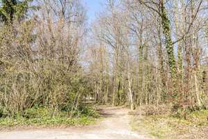 Property thumbnail 24