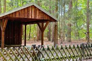 Draußen im Walde... idyllisch gelegenes Holzhaus auf 3.549 m² Waldgrundstück – Uelzen (Kreis) – Vorschaubild 25