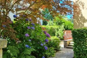 Top Lage, Südviertel, Garten