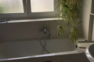 Exklusives, voll möbliertes Endreihenhaus mit großzügigem Garten – Ihr neues Zuhause zum Wohlfühlen  – Buschweg 7, 53229 Vilich-Müldorf, Bonn – Vorschaubild 12