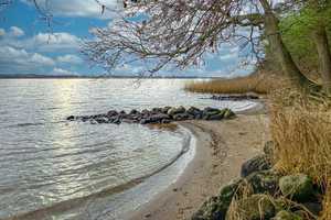 Schlei: Elegante, barrierefreie Villa mit Panoramablick, ELW, Indoor-Pool, separatem EFH und priv... – Schleswig-Flensburg (Kreis) – Vorschaubild 30
