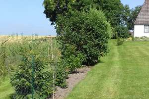 Gelegenheit für Gartenliebhaber – Die vollständige Adresse der Immobilie erhältst du vom Anbieter., 25774 Hemme – Vorschaubild 5