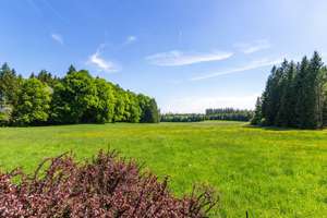 Bauernhaus mit 100.000qm Wald- und Wiesengrund – Die vollständige Adresse der Immobilie erhältst du vom Anbieter., 82327 Tutzing – Vorschaubild 4
