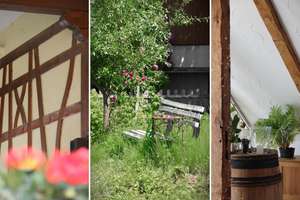Bieterverfahren: Winzerhof mit großem Grundstück und Weinstube in Köndringen – Die vollständige Adresse der Immobilie erhältst du vom Anbieter., 79331 Teningen – Vorschaubild 4