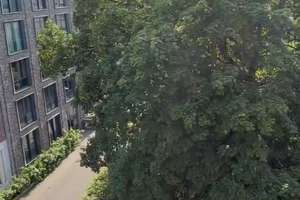 Nachmiete gesucht! Schöne und breite 2-Zimmer-Wohnung in Berlin Pankow – Florastraße 12a, 13187 Pankow (Ortsteil), Berlin – Vorschaubild 4