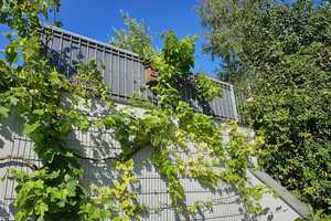 Kleines Einfamilienhaus mit Wohlfühlcharakter, dazu Garage und Garten in ruhiger Lage von Lomersheim – Enzkreis – Vorschaubild 32