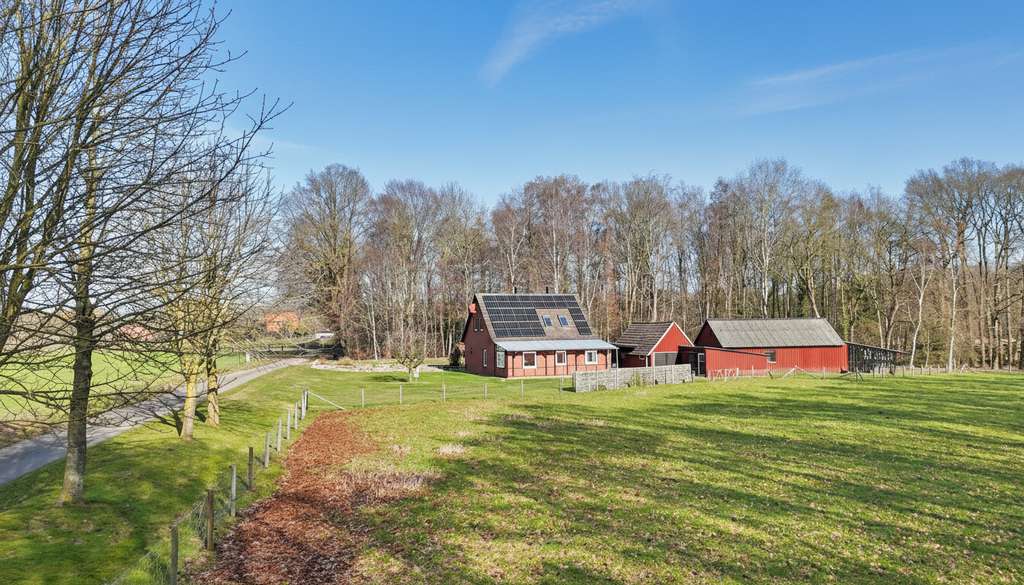 Immobilie in Winkelsett - Einfamilienhaus mit gepflegten Nebengebäuden in idyllischer Alleinlage - Bild 2