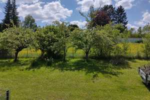 Idyllische & neuwertige 5-Zimmer-DHH mit EBK in Magstadt - Perfekt für Familien – Böblingen (Kreis) – Vorschaubild 34