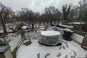 Property thumbnail 26