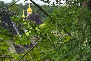 A+ - 3 Meter hohe Räume und Garten - in Bestlage Villengebiet