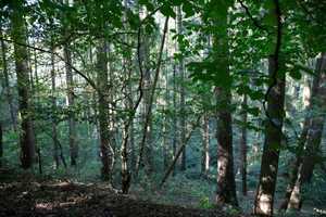 * RESERVIERT * – Mühlenstraße 26, 25712 Dithmarschen (Kreis) – Vorschaubild 26
