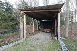 Platz für Ihr Projekt - Mehrgenerationenhaus, Tierhaltung, Wohnen und Arbeiten zu Hause  – Die vollständige Adresse der Immobilie erhältst du vom Anbieter., 9212 Limbach-Oberfrohna – Vorschaubild 10