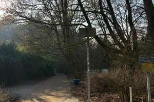 Renoviertes Einfamilienhaus mit 5 Zimmern in Wiesbaden-Sonnenberg – Gartenstraße 5, 65191 Sonnenberg, Wiesbaden – Vorschaubild 17