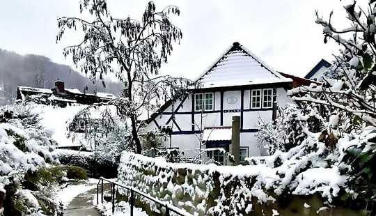 Bild von Liebevoll saniertes Fischerhaus, stufenlos erreichbar– nur wenige Schritte von der Elbe entfernt!“