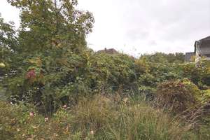 Großes Grundstück mit Entwicklungspotenzial in Bohnsdorf – Die vollständige Adresse der Immobilie erhältst du vom Anbieter., 12526 Bohnsdorf, Berlin – Vorschaubild 4