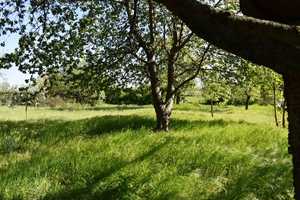 Ein Paradies für Kinder, Gärtner + Tiere!
Vierseitenhof in Schönwalde,
3843 m² Grundstück inkl. Ac – Elbe-Elster (Kreis) – Vorschaubild 24