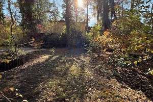 Property thumbnail 25