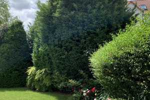 Property thumbnail 12