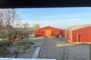 Pferdeimmobilie im Wendland-Neuwertiges Wohnhaus, Reithalle, Stallungen & ca. 3 ha Land in Prezelle – Die vollständige Adresse der Immobilie erhältst du vom Anbieter., 29491 Prezelle – Vorschaubild 5