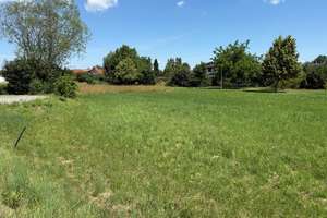 Hochwertiges DHH mit 123 m² Wohnfläche plus 496 m² Baugrundstück in Landau an der Isar – Hainbuchenweg 18, 94405 Landau an der Isar – Vorschaubild 3