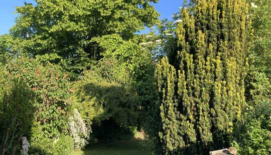 Bild von Familienhaus mit großem Garten, EBK, Doppelgarage-bezugsfrei!
