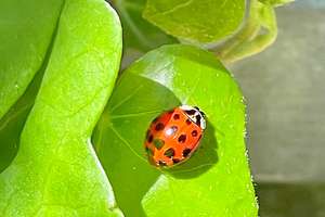 Property thumbnail 21