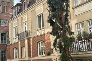 Jugenstil-Wohnung im Herzen von Würzburg – Die vollständige Adresse der Immobilie erhältst du vom Anbieter., 97080 Altstadt, Würzburg – Vorschaubild 18