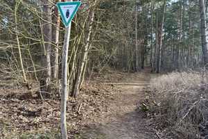 Doppelhaushälfte auf großzügigem Grundstück in Müggelheim – Berlin – Vorschaubild 14