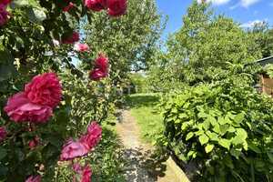 Doppelhaushälfte mit Gartenidylle - Familienglück in ruhiger Feldrandlage – Heinsberg (Kreis) – Vorschaubild 3