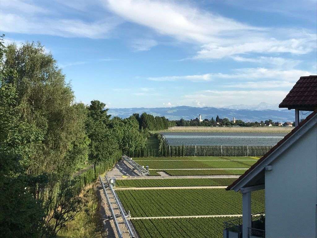 Immobilie in Langenargen - Gepflegte 2,5-Zimmer Terrassenwohnung in Langenargen ( geeignetes Anlage Objekt ) - Bild 4