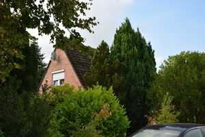 Zwangsversteigerung: Einfamilienhaus in Eggstedt – Dithmarschen (Kreis) – Vorschaubild 5