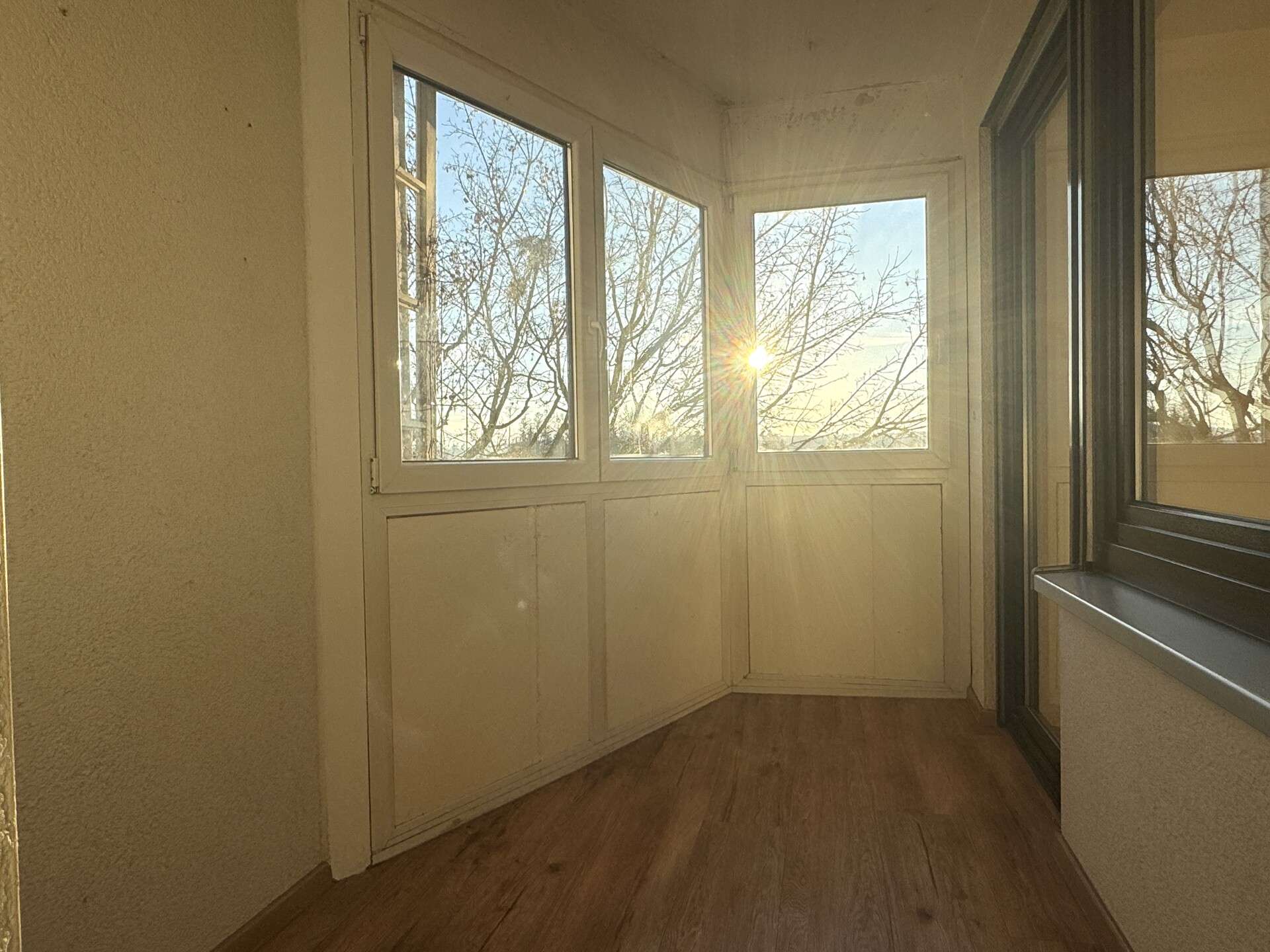 Immobilie in Alleshausen - Lichtdurchflutet wohnen in modernisierter Eigentumswohnung am Rande von Bad Buchau - Bild 4