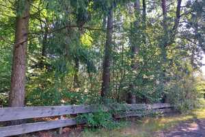 Einfamilienhaus mitten in der Nordheide (Neubau) – Harburg (Kreis) – Vorschaubild 3