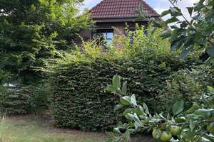 Familienfreundliches Wohnparadies mit 4 Schlafzimmern sucht liebevolle Bewohner – Die vollständige Adresse der Immobilie erhältst du vom Anbieter., 33397 Rietberg – Vorschaubild 3
