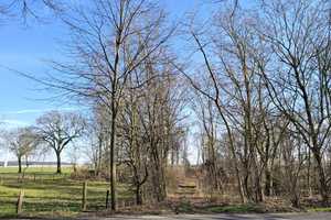 Bauernhof - Stilsicher instandgehaltener Vierkanthof – Kleve (Kreis) – Vorschaubild 8
