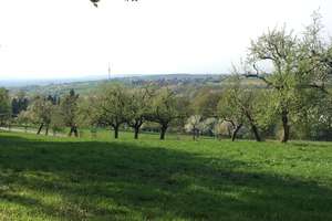 Property thumbnail 21