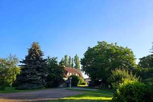 Idyllisches Landhausjuwel mit Potential – Nordvorpommern (Kreis) – Vorschaubild 27