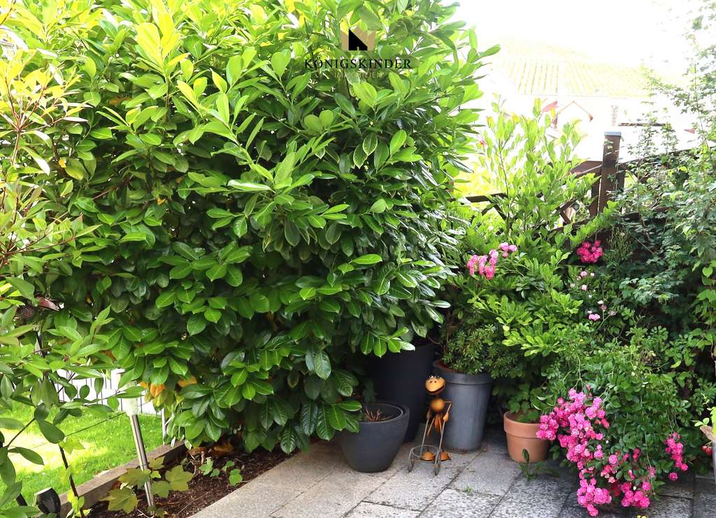 Einladung: Offene Besichtigung am Sonntag, 16.11. von 13.30 Uhr bis 15.30 Uhr.