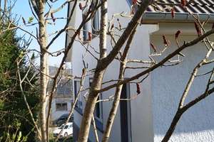 Einfamilienhaus in sonniger, bevorzugter Wohnlage – Die vollständige Adresse der Immobilie erhältst du vom Anbieter., 97980 Bad Mergentheim – Vorschaubild 22