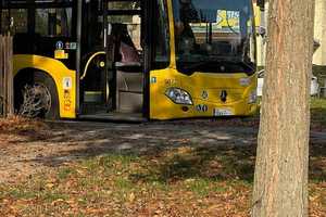 Wunderschönes Domizil in perfekter Lage Alt-Müggelheim Berlin – Berlin – Vorschaubild 30