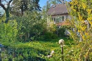 Perfekte Traumlage in Obermenzing! Sonnige Südlage und besonders ruhig! – Die vollständige Adresse der Immobilie erhältst du vom Anbieter., 81245 Obermenzing, München – Vorschaubild 16