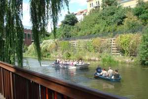 Property thumbnail 15