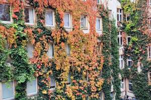 Helle 1Z Wohnung mit Balkon in  Charlottenburgs Herz – Schillerstraße 92, 10625 Charlottenburg, Berlin – Vorschaubild 13