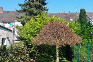 ODENKIRCHEN-WEST: XXL REIHENMITTELHAUS MIT TERRASSE UND GARTEN!!!
