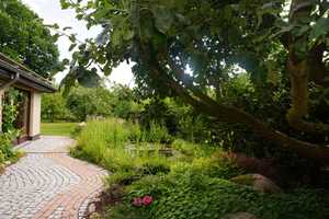 Großes Einfamilienhaus mit Gartenparadies im Wendland – Lüchow-Dannenberg (Kreis) – Vorschaubild 1