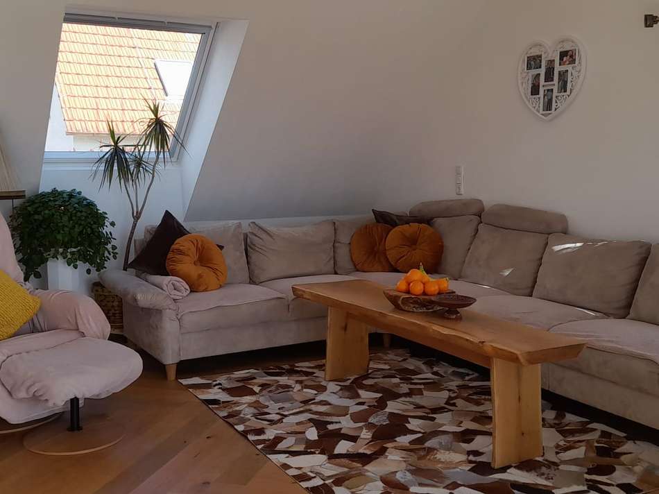 WhatsApp Image 2026-02-13 at 1