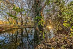 NEU: Familienidyll an der Leipziger Wasserlandschaft – Leipzig – Vorschaubild 3
