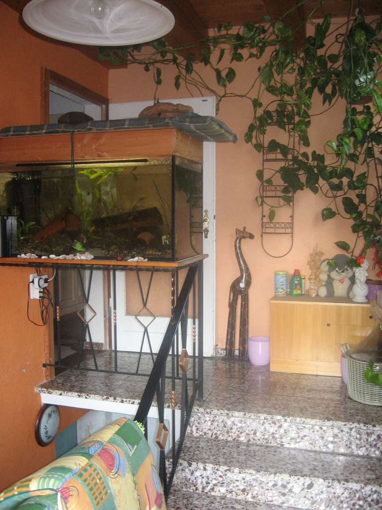 Immobilie in Wachau - Idyllisches Grundstück in unmittelbarer Nähe zu Radeberg - Bild 3